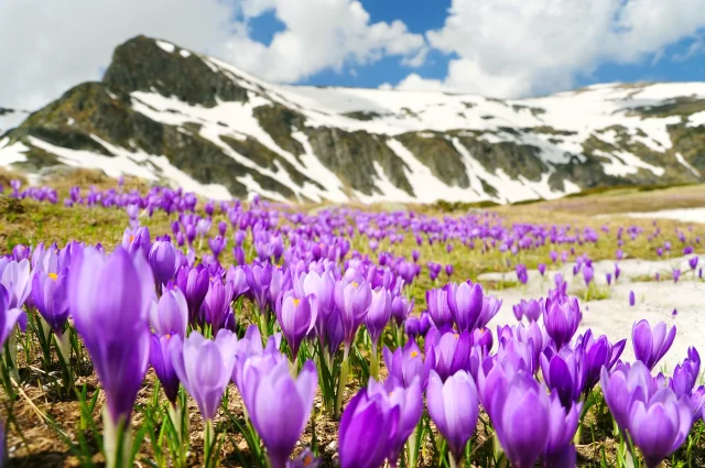 🌸 The first day of spring is here, and nature is calling! 🌿 It's time to trade those cozy indoor moments for sunshine, fresh air, and new adventures. Whether it’s a hike, bike ride, or a simple walk around the neighborhood – take a moment to soak in the beauty of blooming flowers and warmer days ahead. 🌞✨

Let this season be a reminder that growth, renewal, and joy are all around us. Where will you explore first? 🌼

 #HelloSpring #AdventureAwaits #GetOutside